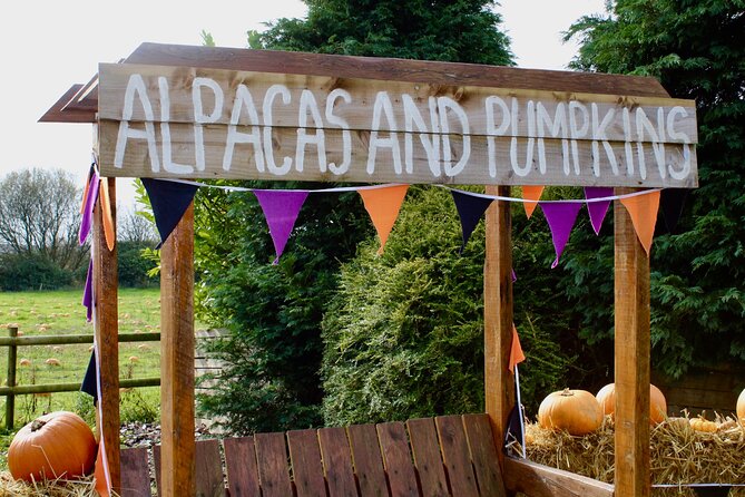 Halloween Pumpkin Patch and Alpaca Adventure - Price and value: what $21.95 really buys you, and what is extra
