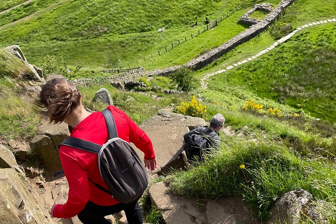 Highlights of Hadrian’s Wall with Local Guide - Price, timing, and who this fits best