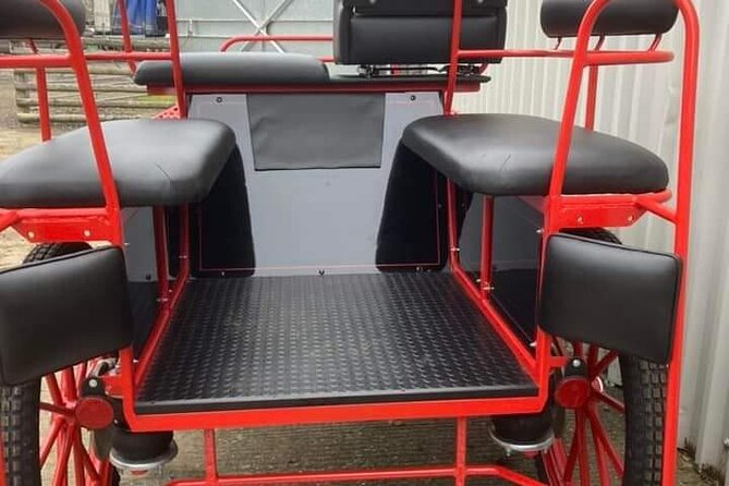 Horse drawn carriage ride york - Where this fits best, families to animal lovers