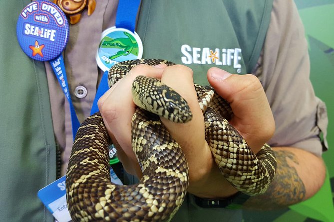 Hunstanton SEA LIFE Sanctuary General Admission Ticket - Seal Hospital & Rescue Centre: the rescue story is the payoff