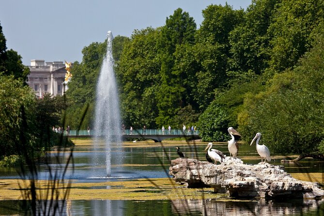 Inside Buckingham Palace State Rooms & Royal London Walking Tour - Accessibility and mobility: good option with one catch