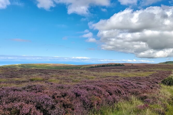 Isle of Man Discovery Tour with experienced Driver Guide - Where you start in Douglas, and how pickup can help