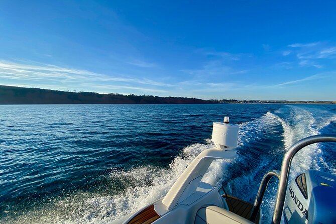 Jurassic Coast Rib Tour - Exmouth - Price and Value: Why This Costs About $54.83