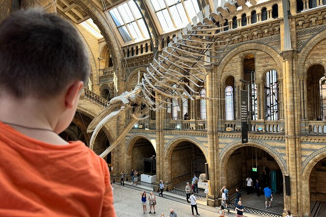 Kid-Friendly Natural History Museum & Dinosaurs Private Guided Tour in London - Dinosaur Gallery and Hintze Hall, the highlights that do the heavy lifting
