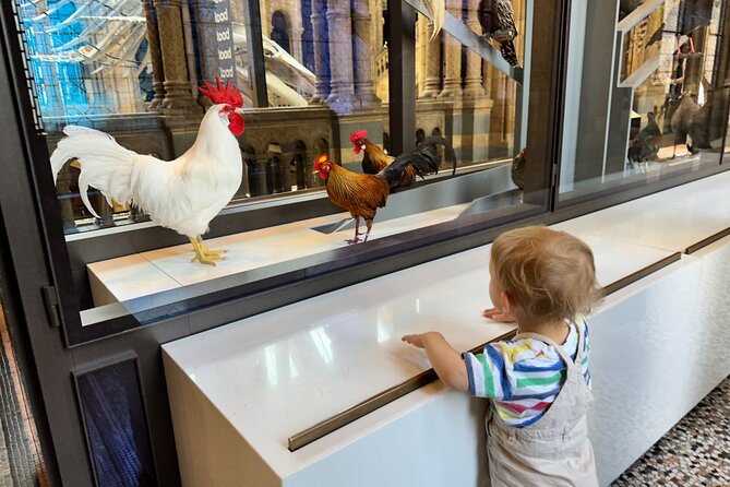 Kid-Friendly Natural History Museum & Dinosaurs Private Guided Tour in London - Beyond dinosaurs: Life and Earth, wildlife garden, and geology