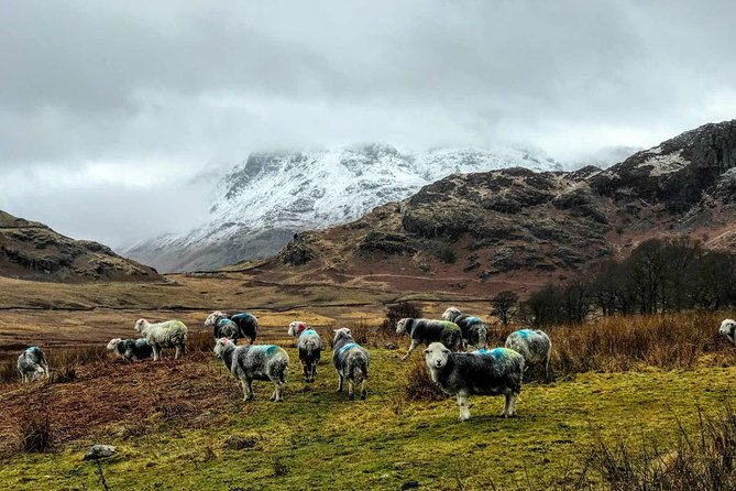 Lake District Adventure Sightseeing Day Trip from Liverpool - Key highlights you should care about