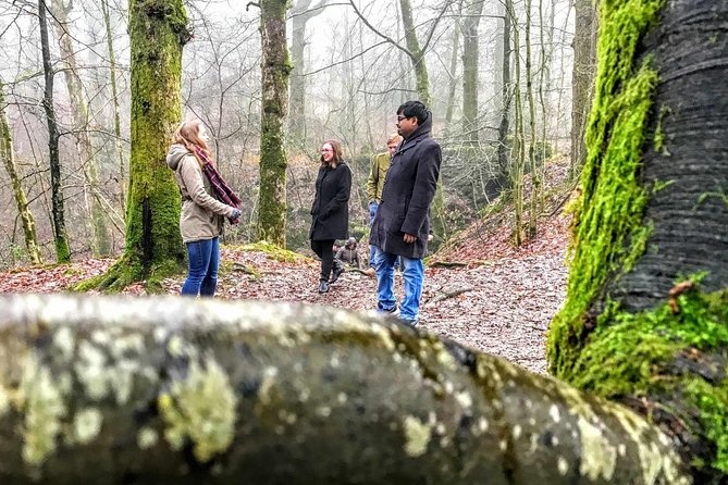 Lake District Adventure Sightseeing Day Trip from Liverpool - Guides and narration: why the people on this tour matter