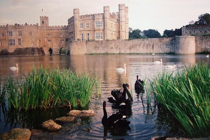 Leeds Castle, Canterbury and White Cliffs of Dover - Driver Guide - Canterbury Cathedral and the Walk Through Old Streets