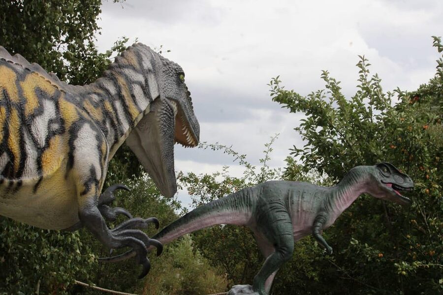 Lincolnshire: ARK Wildlife and Dinosaur Park Entry Ticket - Lemur Lake, Macaque Manor, and the primate stops