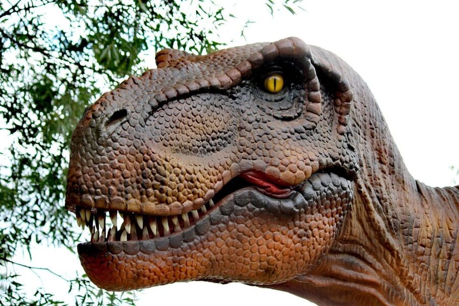 Lincolnshire: ARK Wildlife and Dinosaur Park Entry Ticket - Outdoor play park time: when kids need to burn it off