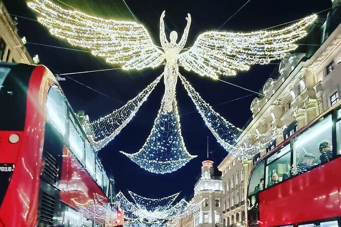London Christmas Lights Private Guided Taxi Tour - Who this private taxi tour suits best