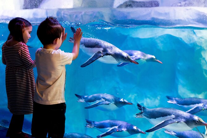 London Golden Pass: Multi-Attraction Access - Madame Tussauds: Pop Culture Meets a Surprisingly Fun Walk