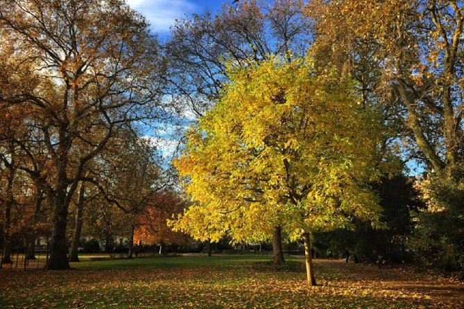 London Literary Private Walking Tour Of Bloomsbury - Pickup, meeting point, and timing that keep the day smooth