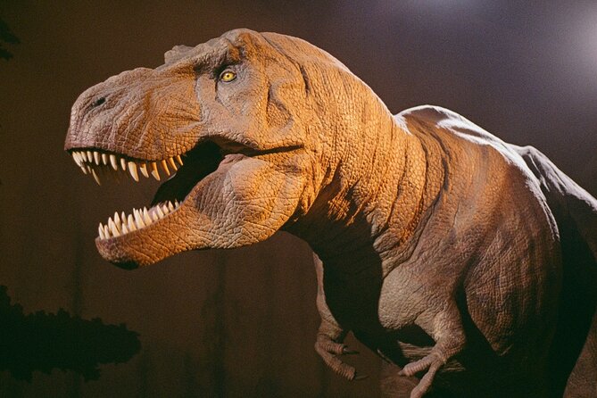 London: Natural History Museum Express Guided Tour & Audio Guide - Price and value: paying for help at a free museum