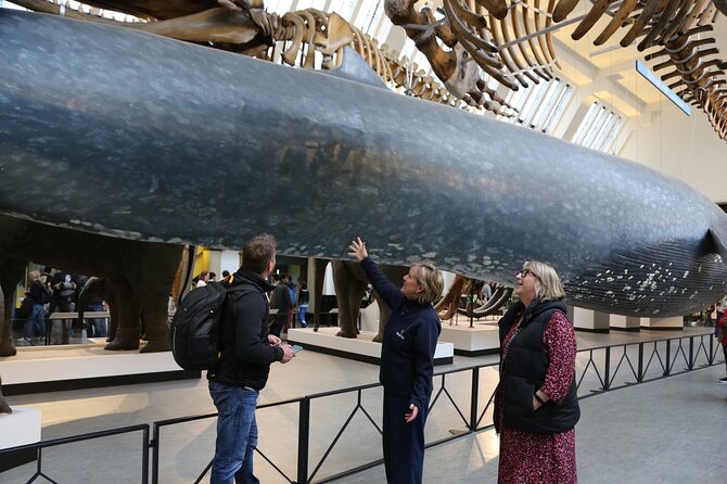 London: Natural History Museum Express Guided Tour & Audio Guide - Who this tour fits best