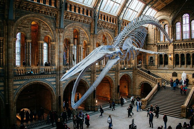 London: Natural History Museum Express Guided Tour & Audio Guide - Your audio guide loop: self-paced, but you still need a plan