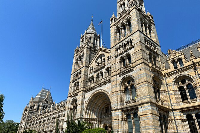 London Natural History Museum with Dinosaurs Gallery Private Tour for Kids - Why a private Natural History Museum tour works for kids