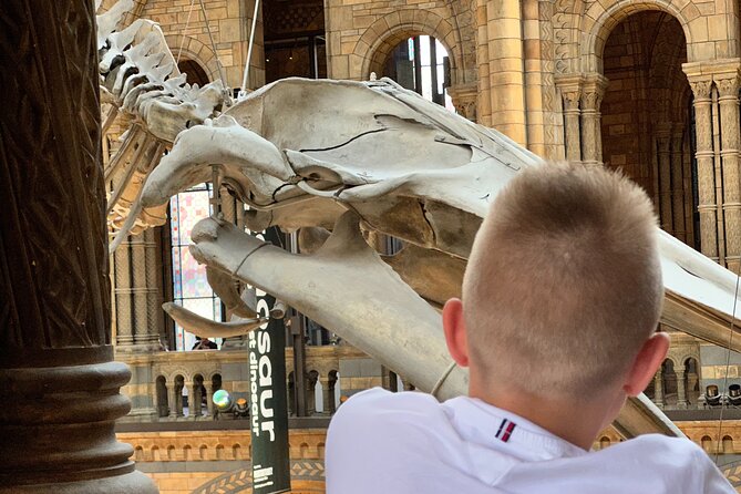 London Natural History Museum with Dinosaurs Gallery Private Tour for Kids - The other must-see specimens: blue whale, sequoia, and stuffed birds