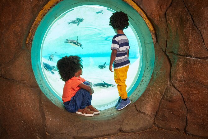 London Zoo Entry Ticket - Tiny Giants indoor time: invertebrates plus a coral reef tank