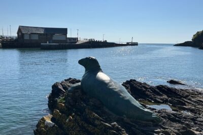 Looe Walking Tours – Historic Tales