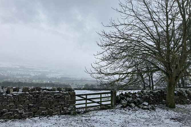 Luxury Private Yorkshire Dales National Park Tour - York to the Dales: How the Day Gets Its Wings