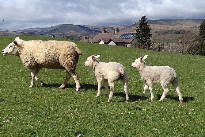 Moors, Whitby & The Yorkshire Steam Railway Day Trip from York - Hutton le Hole: your first taste of Yorkshire village life