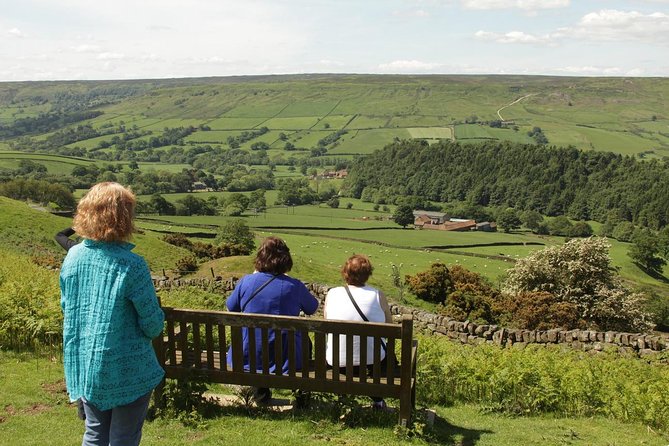 Moors, Whitby & The Yorkshire Steam Railway Day Trip from York - The steam train decision: North York Moors Railway to Goathland