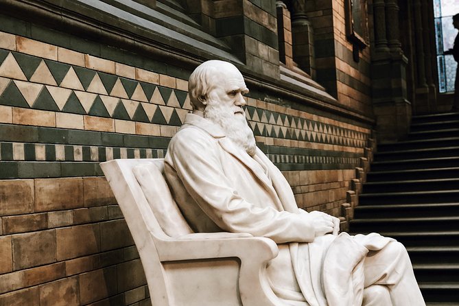 Natural History Museum London - Exclusive Guided Museum Tour - Who this tour fits best