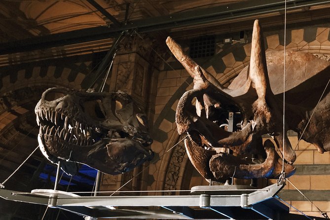 Natural History Museum London - Exclusive Guided Museum Tour - Should you book this Natural History Museum exclusive guided tour?