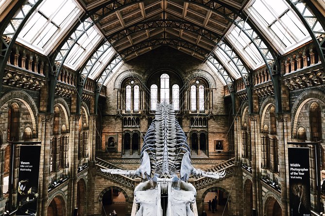 Natural History Museum London Guided Tour Semi-Private 8ppl Max - Key highlights and what makes them worth your time