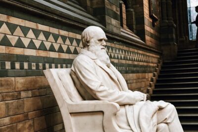 Natural History Museum London Guided Tour Semi-Private 8ppl Max