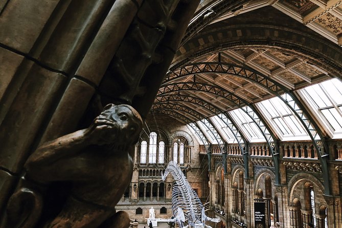 Natural History Museum London Guided Tour Semi-Private 8ppl Max - The Dodo skeleton and the lesson of extinction