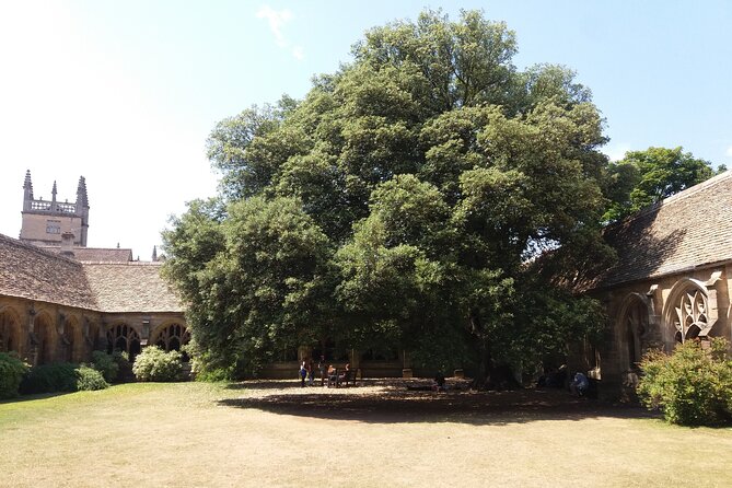 New College Oxford Harry Potter Insights PRIVATE TOUR Daily - Guides, Pacing, and the Adult-Friendly Factor