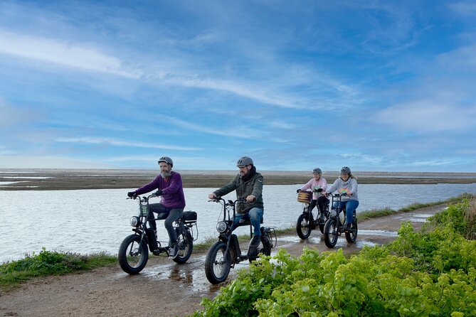 New Forest E-Bike Adventure - Key Highlights You’ll Actually Feel
