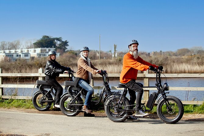 New Forest E-Bike Adventure - Where You’ll Ride: Ancient Woodland, Open Heathland, and Off-Road Tracks