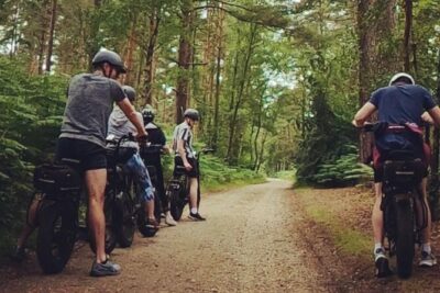 New Forest E-Bike Adventure