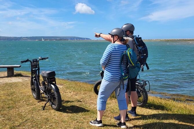 New Forest E-Bike Adventure - Wildlife Chances: Ponies, Deer, Highland Cattle, and Bird Life