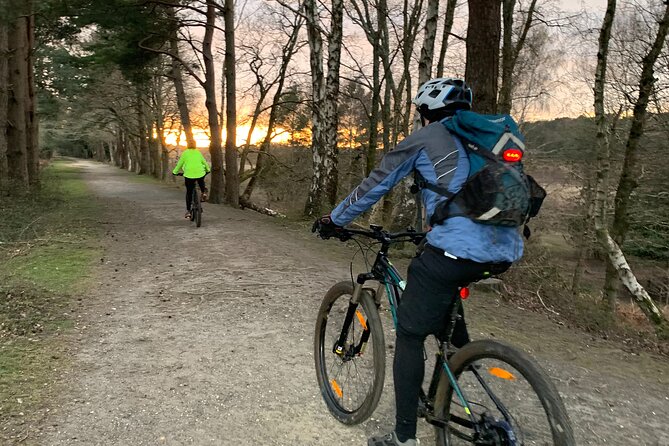 New Forest Sunset Bike Rides - What a 5:00 pm New Forest ride really buys you