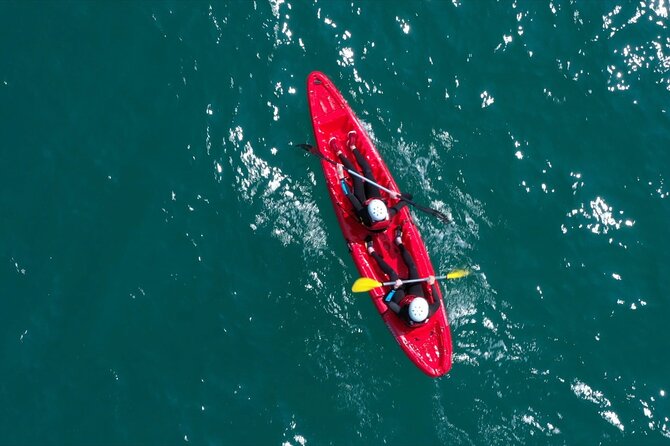 Newquay Kayaking Adventure - Why Newquay Kayaking Feels Different Than a Typical Day Out