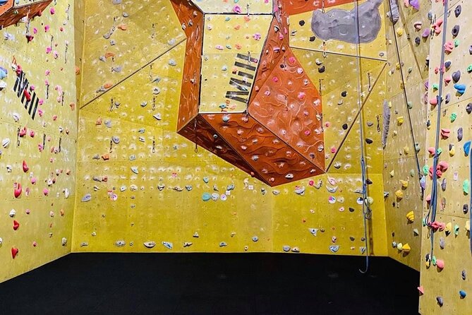 North Devon: Indoor Climbing Taster Session - Key Things to Know Before You Climb