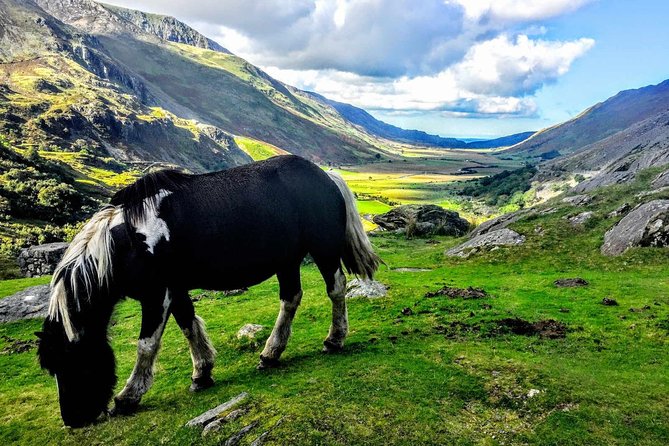 North Wales Sightseeing Adventure Day Trip from Manchester - Key Highlights You Should Care About