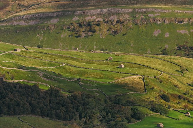 North York Moors and Whitby Day Tour from York - Time Management Tips for Your Best Day on the Moors