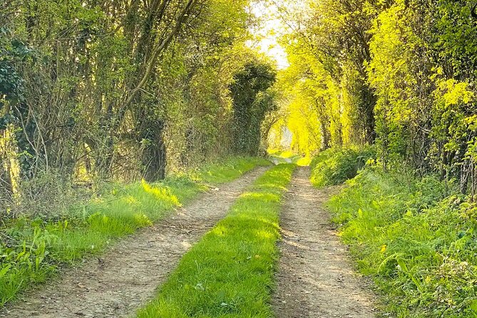 One Day Tour from London to The Cotswolds - Guides, comfort, and why private attention matters