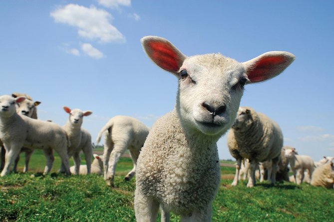 Our Famous North Cotswold Tour - Should you book this North Cotswolds tour?