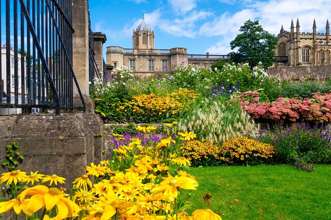 Oxford Walking Tour - Discover its University and Traditions - Divinity School and Blackwell’s Bookshop for book lovers
