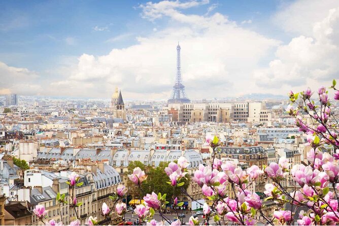 Paris by Rail with Sightseeing Bus and River Seine Lunch Cruise - The Seine Lunch Cruise at 12:45: Champagne, Music, and a View From the Water