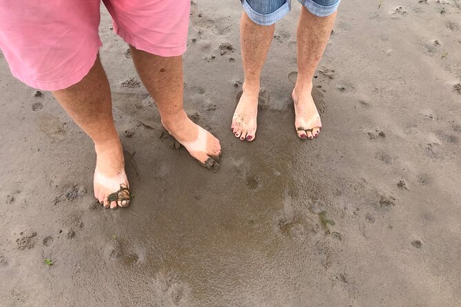 Pilgrims' Path walk across the sands to Holy Island - Key highlights at a glance