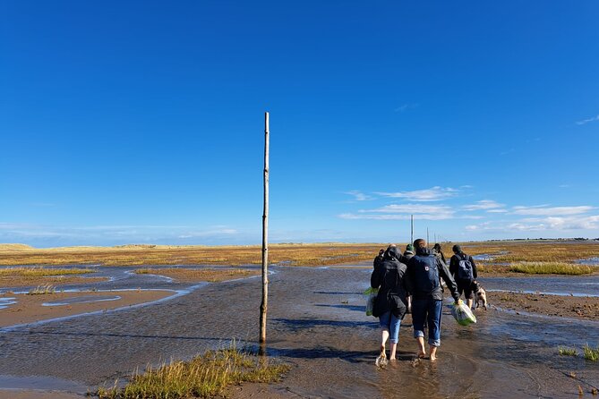 Pilgrims' Path walk across the sands to Holy Island - Meet Ray, the guide, and the stories that make the sand feel alive