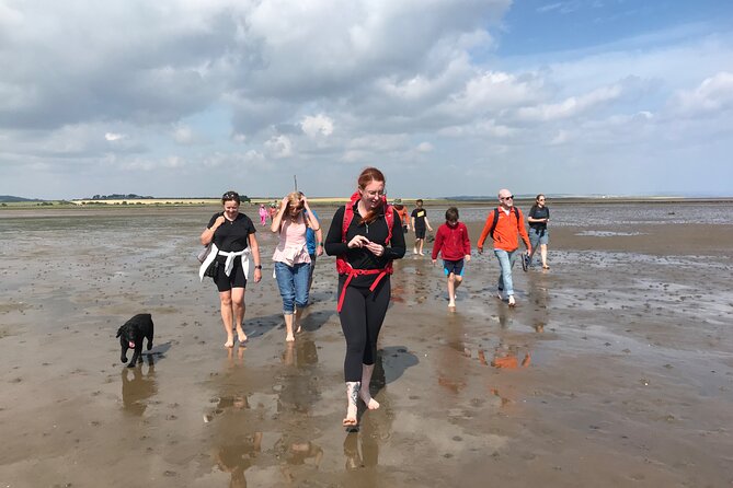 Pilgrims' Path walk across the sands to Holy Island - The Holy Island sands crossing: pace, wildlife, and barefoot talk