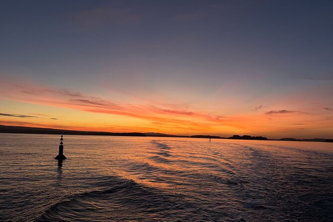 Poole Fish & Chips Lunchtime or Evening Cruise - Bar on board and comfort rules for an easy evening